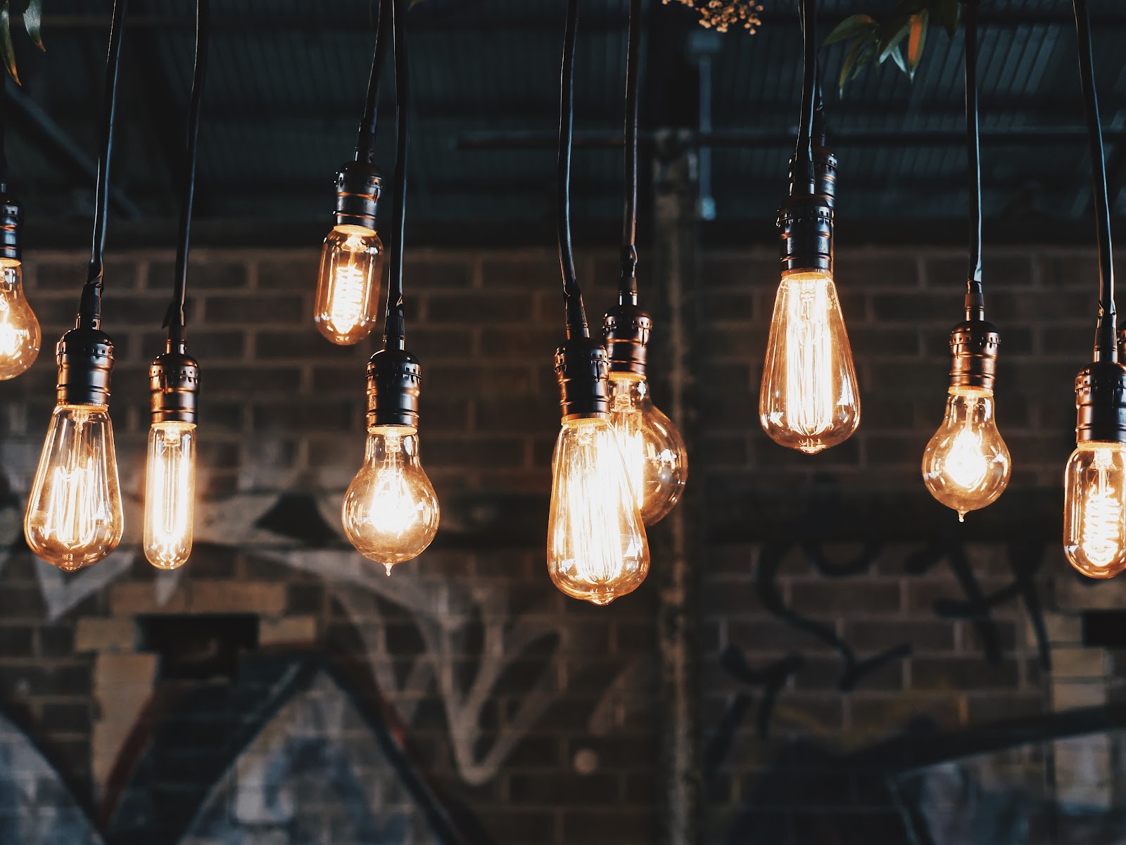 Feature pendant lighting, wired and hung